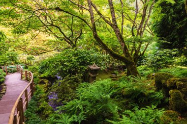Quiet Japanese garden