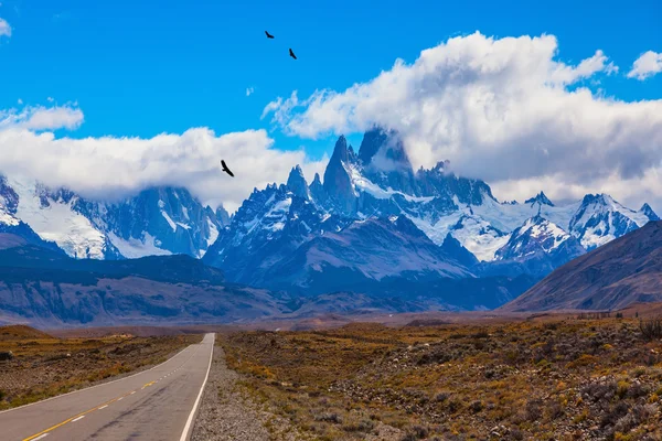 The flock of Andean condors — Stockfoto