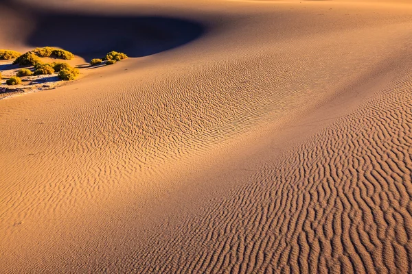 Mesquite płaskie wydmy — Zdjęcie stockowe