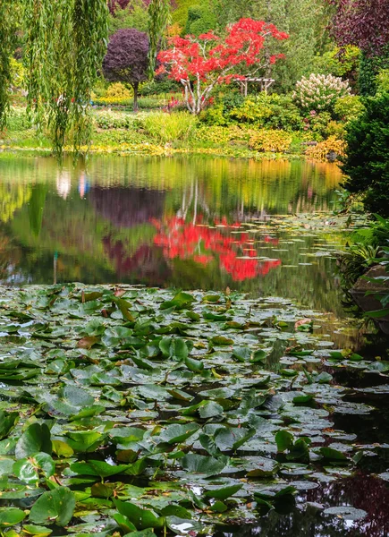 Flower garden on Vancouver Island — ストック写真