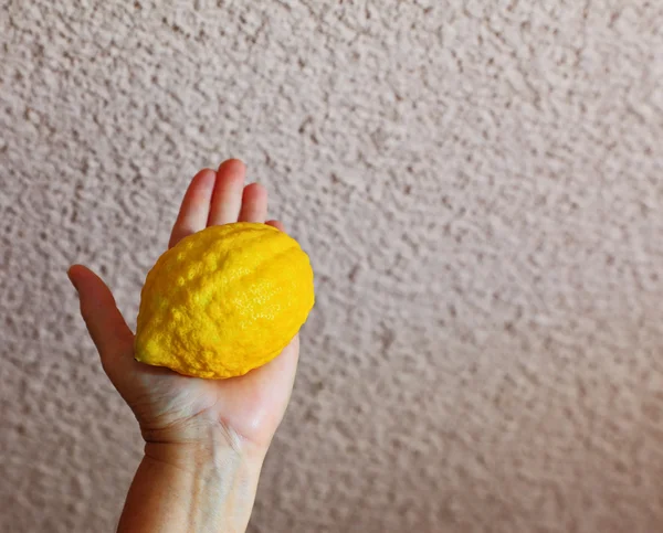 Etrog in einer weiblichen Hand — Stockfoto