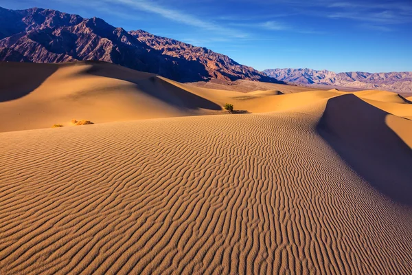 Dunas de areia planas Mesquite — Fotografia de Stock