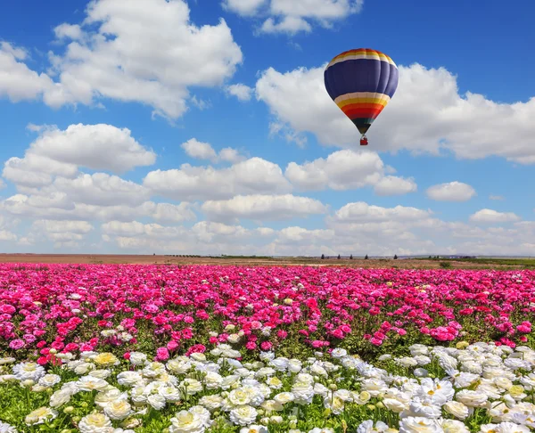 Balão enorme voa sobre o campo — Fotografia de Stock