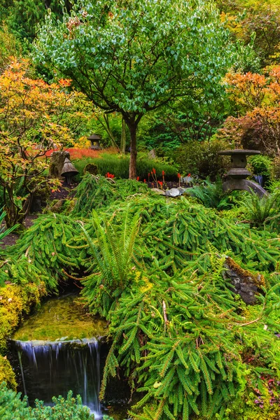 Quiet Japanese garden — Stockfoto