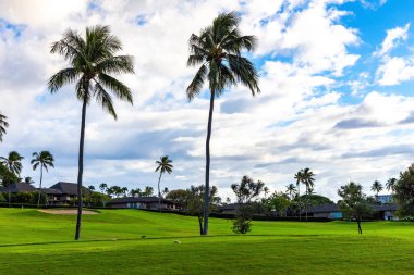 Golf sahası. Maui adası Hawaii takımadalarının en güzel adasıdır. Adanın yemyeşil tropikal doğası muhteşem bir dinlenme alanıyla birleşmiştir..