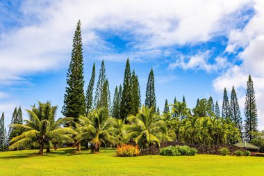 Organize Amerikan eğlencesi için muhteşem lüks bir yer. Hawaii Adaları. Egzotik yerlere inanılmaz bir yolculuk. Kauai. 