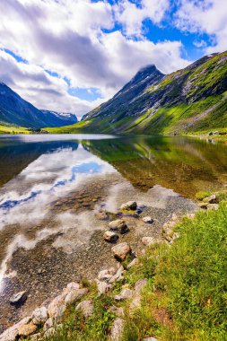 Su yemyeşil bulutları, mavi gökyüzünü ve ormanlı kıyıları yansıtır. Temiz şeffaf suyu olan derin bir göl. İskandinavya 'da yaz mevsimi. Eidsvatnet - Norveç 'teki görkemli göl. 