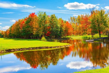 Sonbaharın sihirli renkleri. Kırmızı, sarı ve portakal ağaçları göletin yumuşak suyuna yansıyor. Güneşli bir sonbahar günü. Kanada