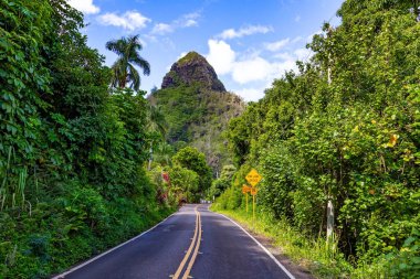 Muhteşem manzaralı bir yol. Hayattaki en egzotik yolculuk. En güzel Pasifik adası Kauai. Hawaii, Polinezya. Pasifik Okyanusu. ABD.