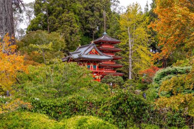 Golden Gate Parkı 'ndaki Japon Çay Bahçesi. Birleşik Devletler 'deki en eski Japon bahçesi. Sakin atmosfer, pagodalar ve çay evleri. 