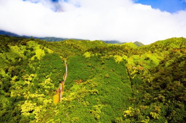 Pasifik Okyanusu 'ndaki Hawaii Adaları. Kapıları kapalı helikopter uçuşu. Kuş gözüyle Kauai adasının göz kamaştırıcı manzarası. Egzotik yerlere inanılmaz bir yolculuk..