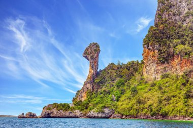 Krabi Eyaleti 'ndeki Chicken Island. Tavuk kafası şeklindeki kaya oluşumuyla ünlüdür. Tayland. Andaman Denizi 'nin ılık suları. Tropik yeşillik.