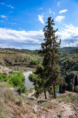 Nehir sığ. Toledo 'nun resim gibi bir çevresi var. İspanya. Sıcak bahar bulutlu günü.