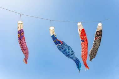 Geleneksel Japon Koinobori sazan sazan rüzgar çorapları seti. Japonya 'daki Tokyo Körfezi kıyısı.