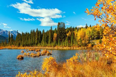 Kanada Kayalıkları. Vermilion Gölleri. Park Banff. Parlak sarı çimenler ve gölleri çevreleyen görkemli dağlar. Alberta. Sakin, güneşli bir sonbahar günü.