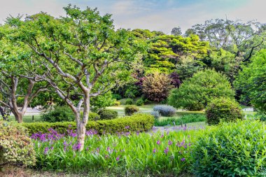 Büyüleyici klasik Japon bahçesi. Bulutlu bahar günü. Canlı bahar yaprakları ve pembe çiçekler suya yansıyor..