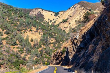 Kaliforniya mı? Asfalt yol El Portal 'a, Yosemite Ulusal Parkı' na çıkıyor. Uçurumlar, tepeler, köknar ağaçları, yumuşak sonbahar güneşi. Gün doğumu.