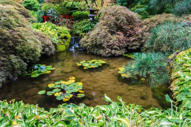 Dekoratif park Butchart bahçeleri