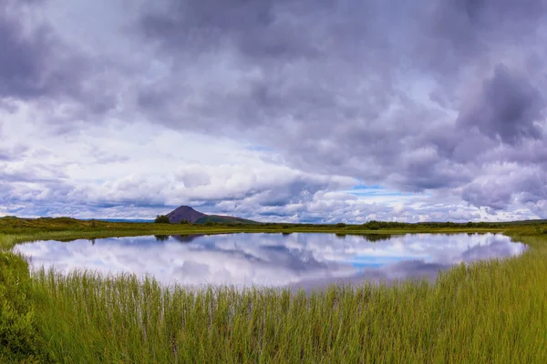 Lago rodeado por prado verde — Fotografia de Stock