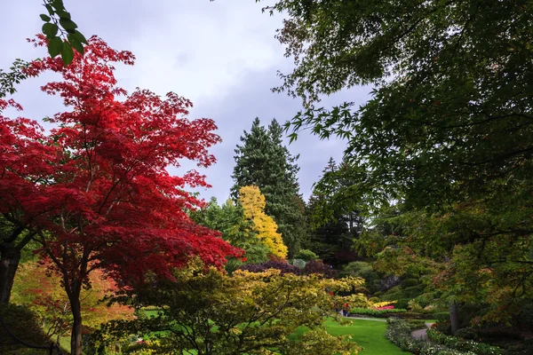 Butchard Garden en la isla de Vancouver — Foto de Stock