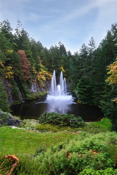Fontana in lago bosco silenzioso — Foto Stock