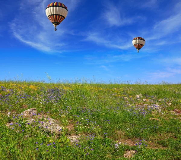 Balon di atas bidang berbunga — Stok Foto