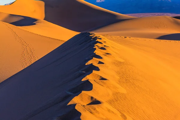 Homokos sivatagban Mesquite lapos — Stock Fotó