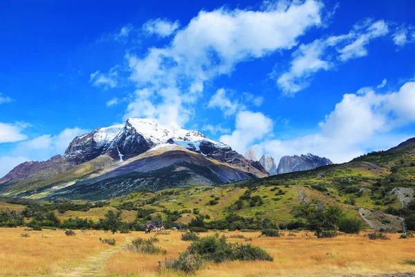 Górach i skałach Torres del Paine — Zdjęcie stockowe