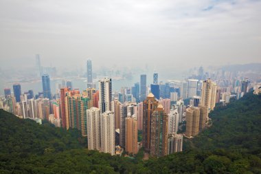 okyanus kıyısında modern şehir