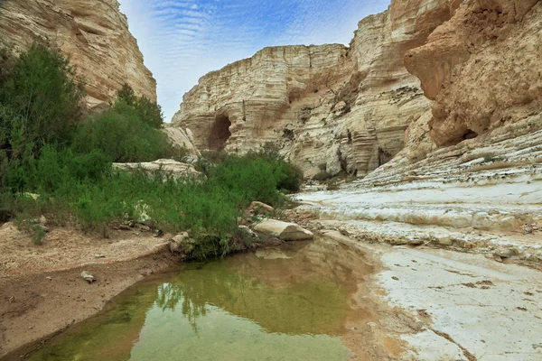 Prachtige canyon en creek — Stockfoto