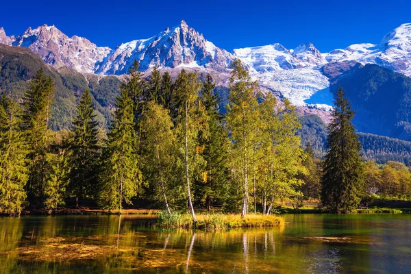 Alpes e abetos perenes refletidos no lago — Fotografia de Stock