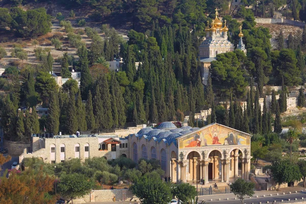 Monte degli Ulivi a Gerusalemme Est — Foto Stock