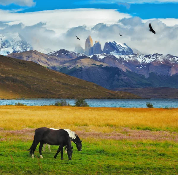 Paisaje mágico en el parque nacional Fotos De Stock