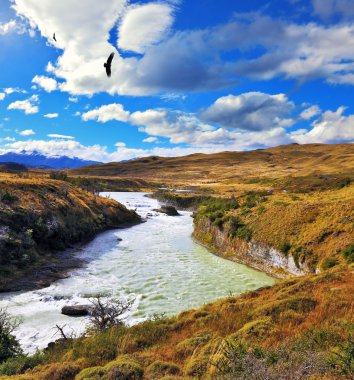 Milli Parkı Torres del Paine, Patagonya