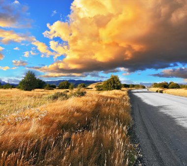 road through the Patagonian steppe in Argentina