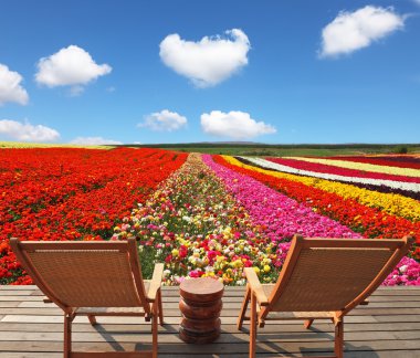 Çok renkli dekoratif düğünçiçekleri alan