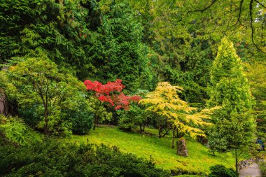 Butchart bahçeleri Vancouver Adası
