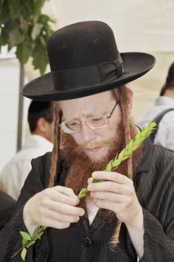 Sukkot tatil önce geleneksel Pazar.