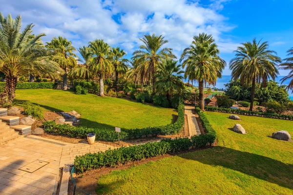 Bel parco con palme e cipressi — Foto Stock