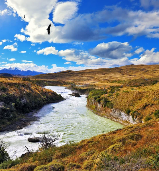 Nationaal Park Torres del Paine, Patagonië — Stockfoto