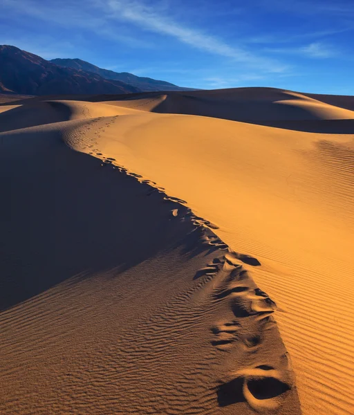 Sandy Desert in Mesquite Flat, USA — 스톡 사진
