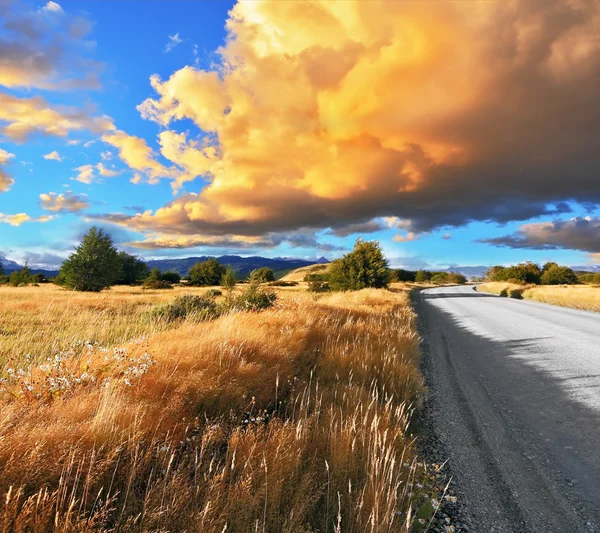 Straße durch die patagonische Steppe in Argentinien — Stockfoto