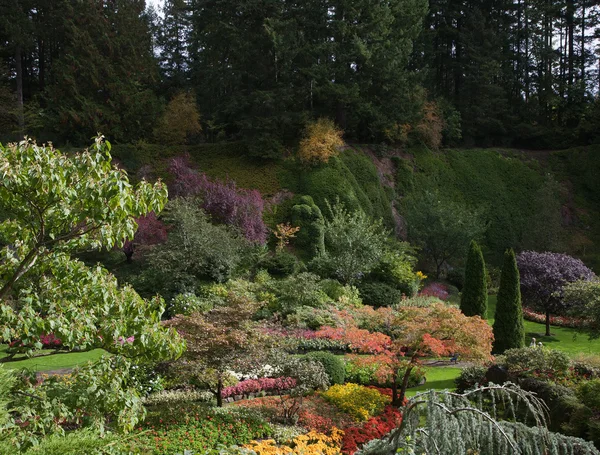 Butchart Gardens en la isla de Vancouver — Foto de Stock