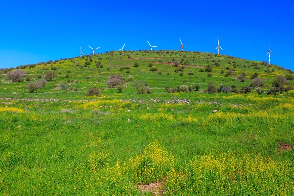 Windmills in  Golan Heights — ストック写真