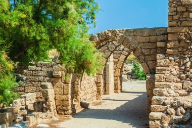 Milli Parkı Caesarea Akdeniz üzerinde