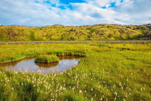 Klein eiland in juli — Stockfoto