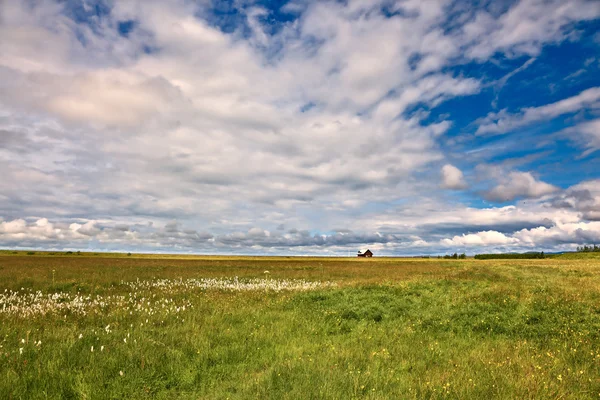 Gröna ängar och moln himlen — Stockfoto