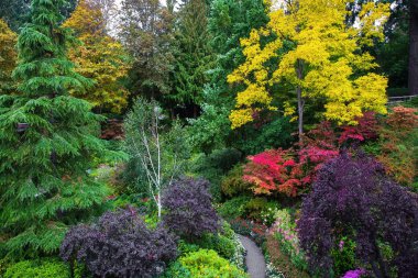Vancouver Adası güzel bahçeleri