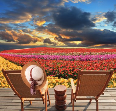 Baharda çiçek açan düğünçiçekleri  