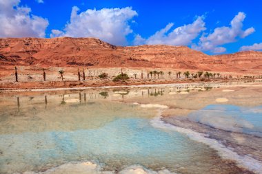 Dead Sea adlı İsrail sahil